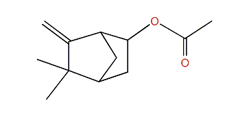 5,5-Dimethyl-6-methylenebicyclo[2.2.1]hept-2-yl acetate